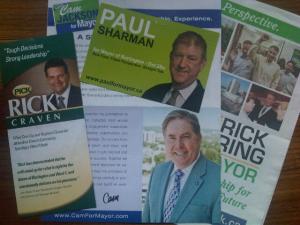 2010 election flyers